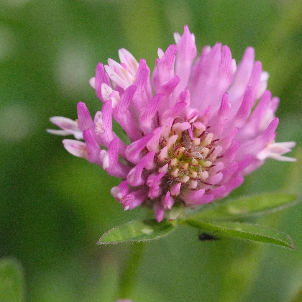 DSCF3772.JPG