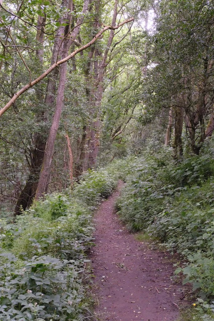 DSCF3929.JPG