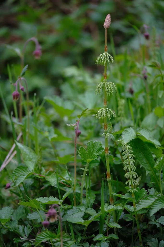 DSCF3324.JPG