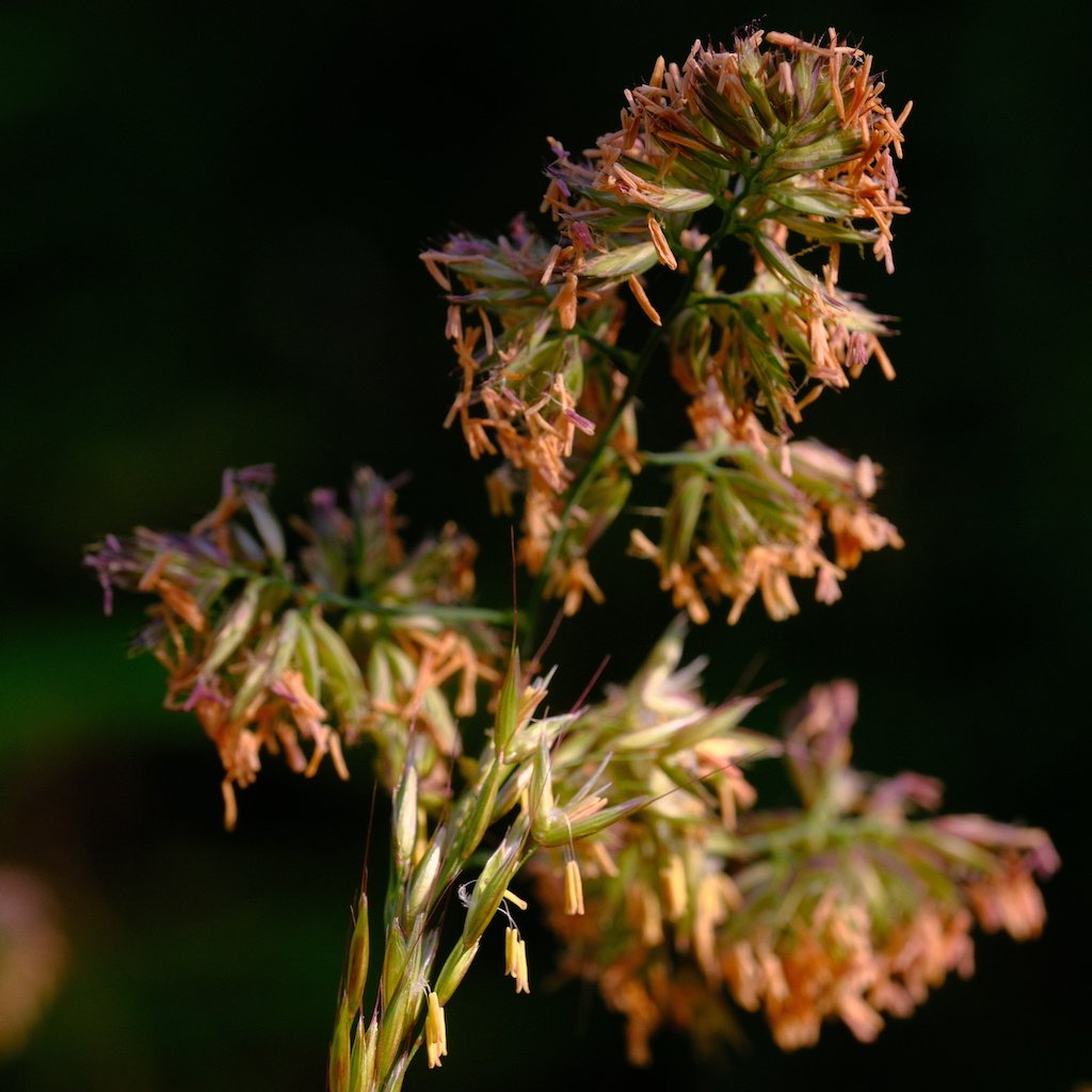 DSCF3837.JPG