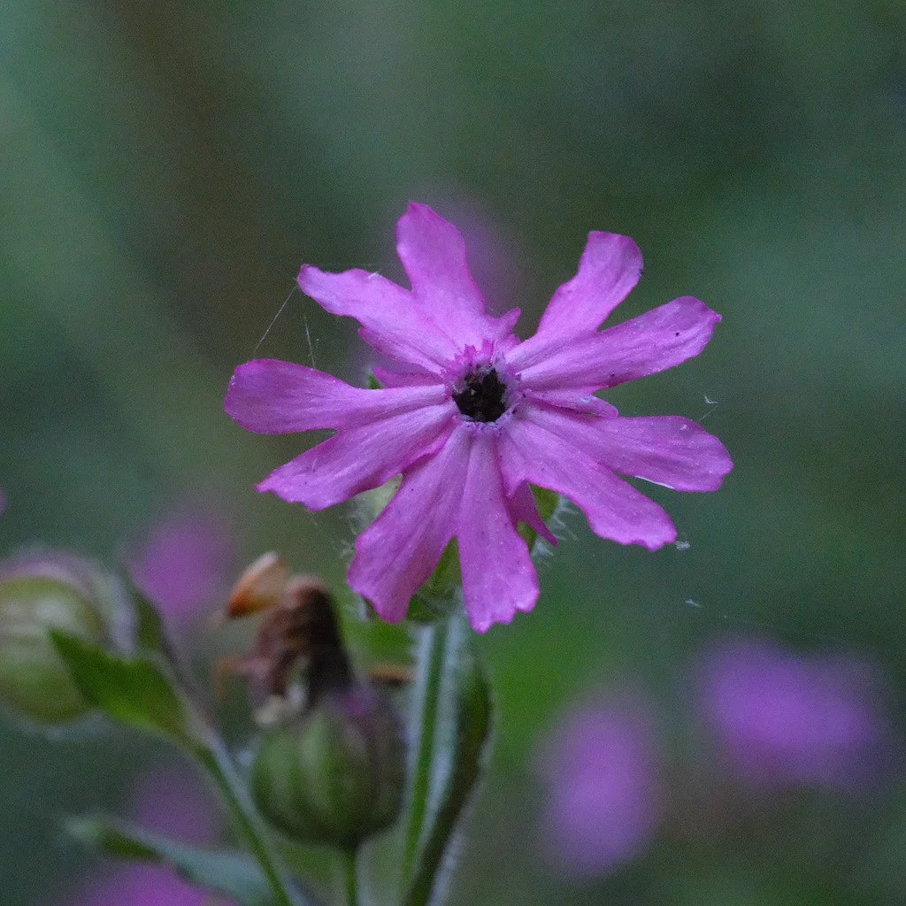 DSCF3580.JPG