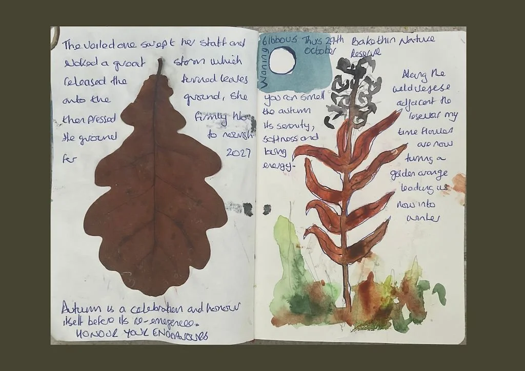 sketchbook with oak leaf pasted into book on left and watercolour on right of old plant along with writing