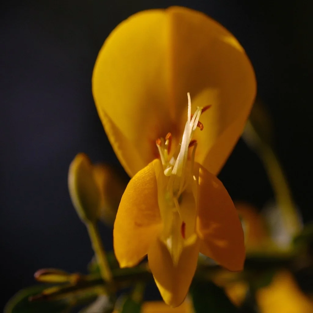 DSCF3766.JPG