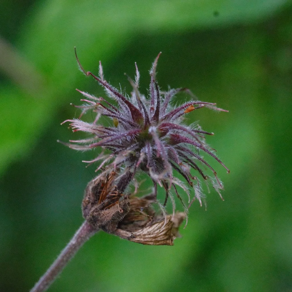 DSCF3970.JPG