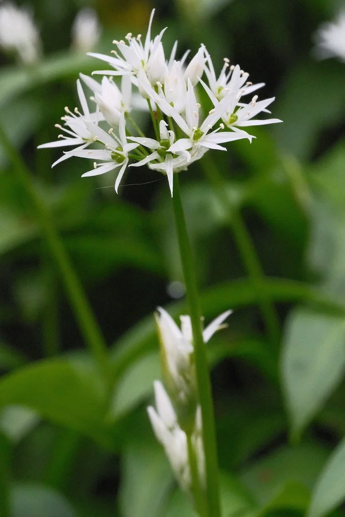 DSCF3308.JPG
