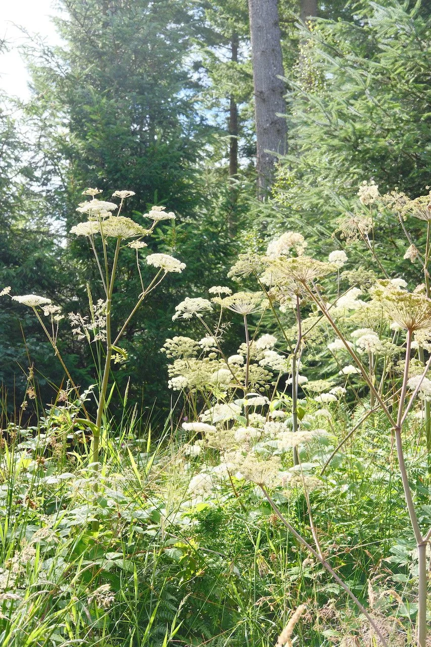 DSCF4163.JPG