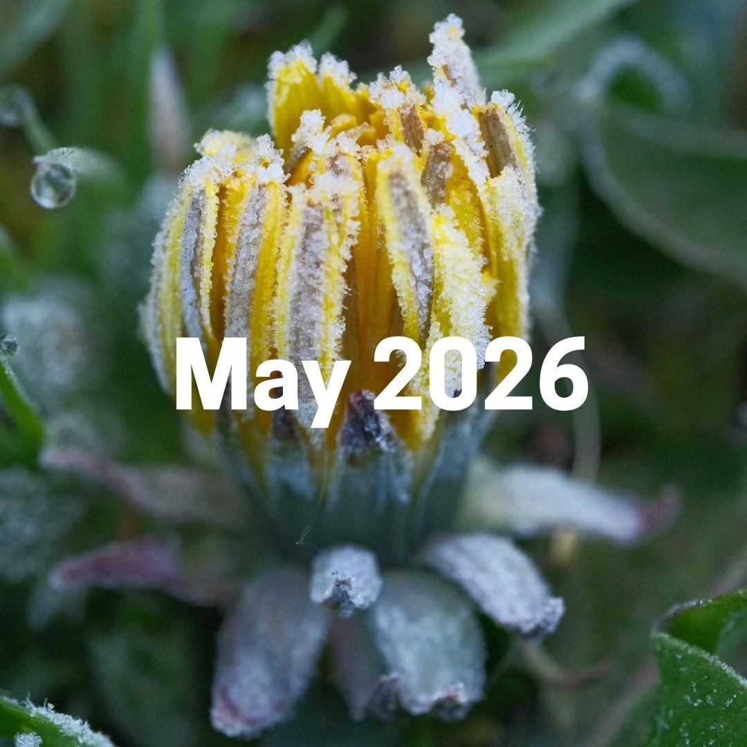 May 2026
