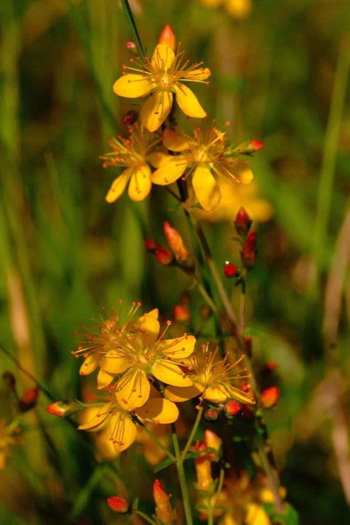 DSCF3857.JPG