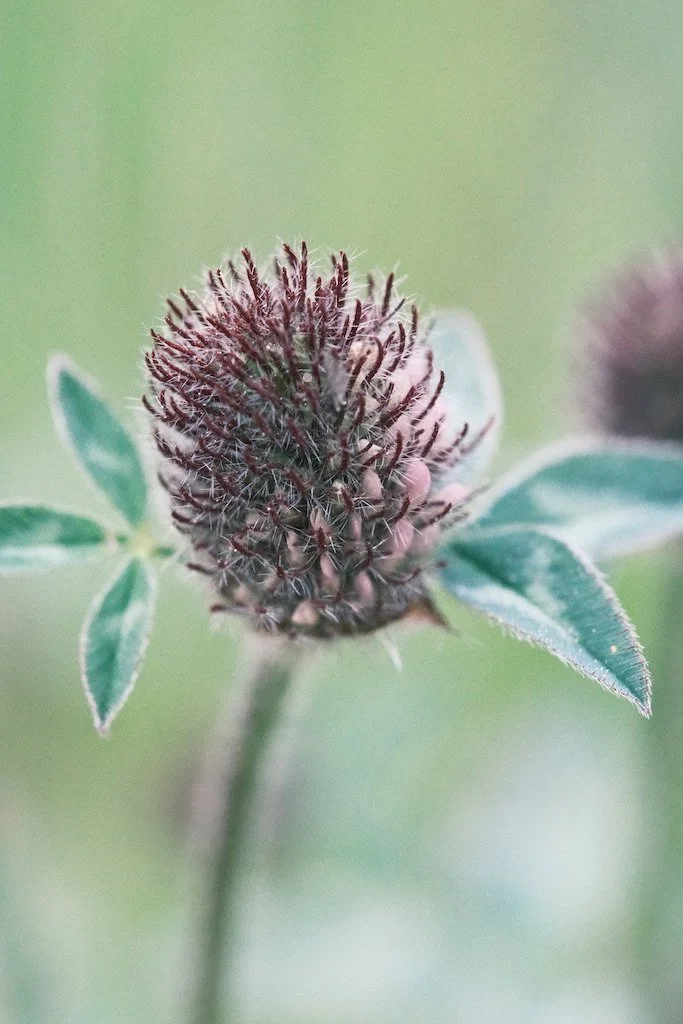 DSCF3412.JPG