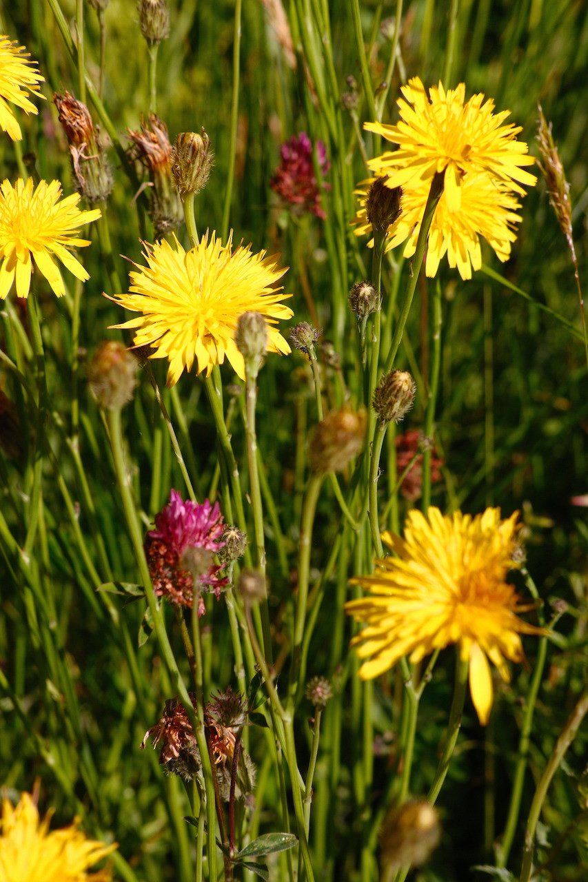 DSCF3902.JPG