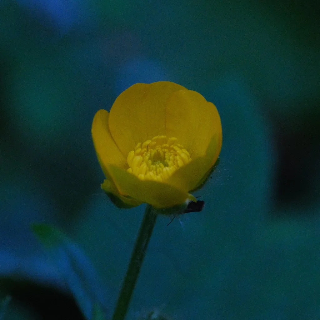 DSCF3585.JPG
