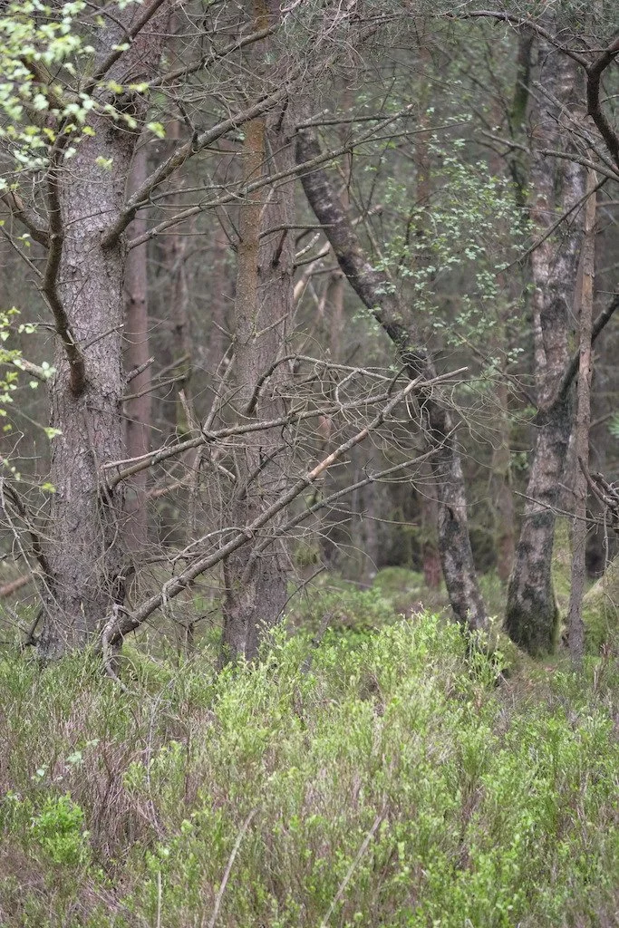 DSCF3232.JPG