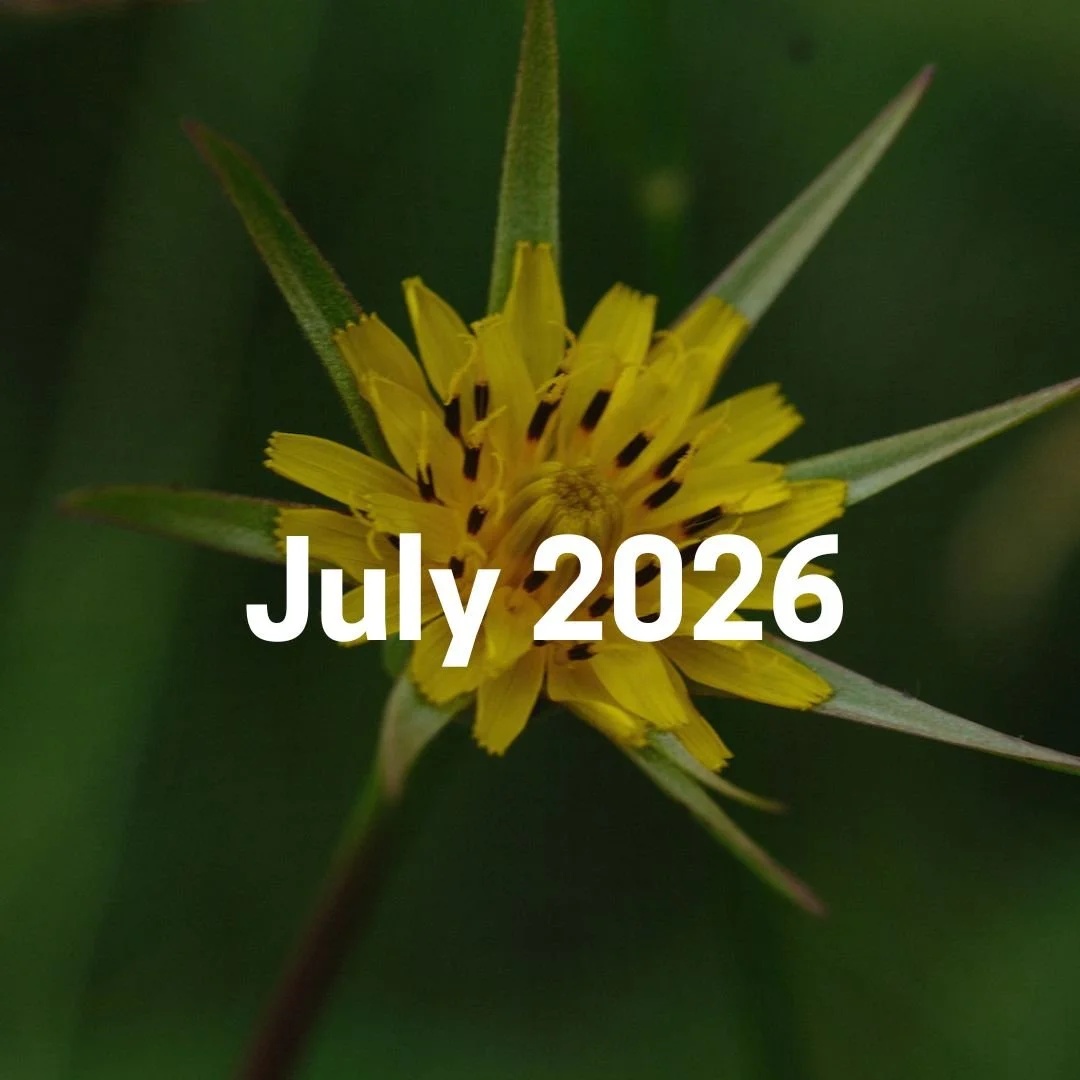 July