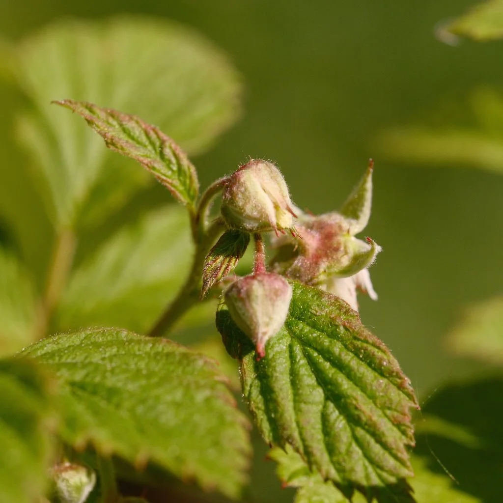 DSCF3614.JPG