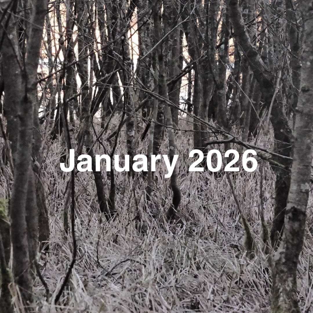 January 2026