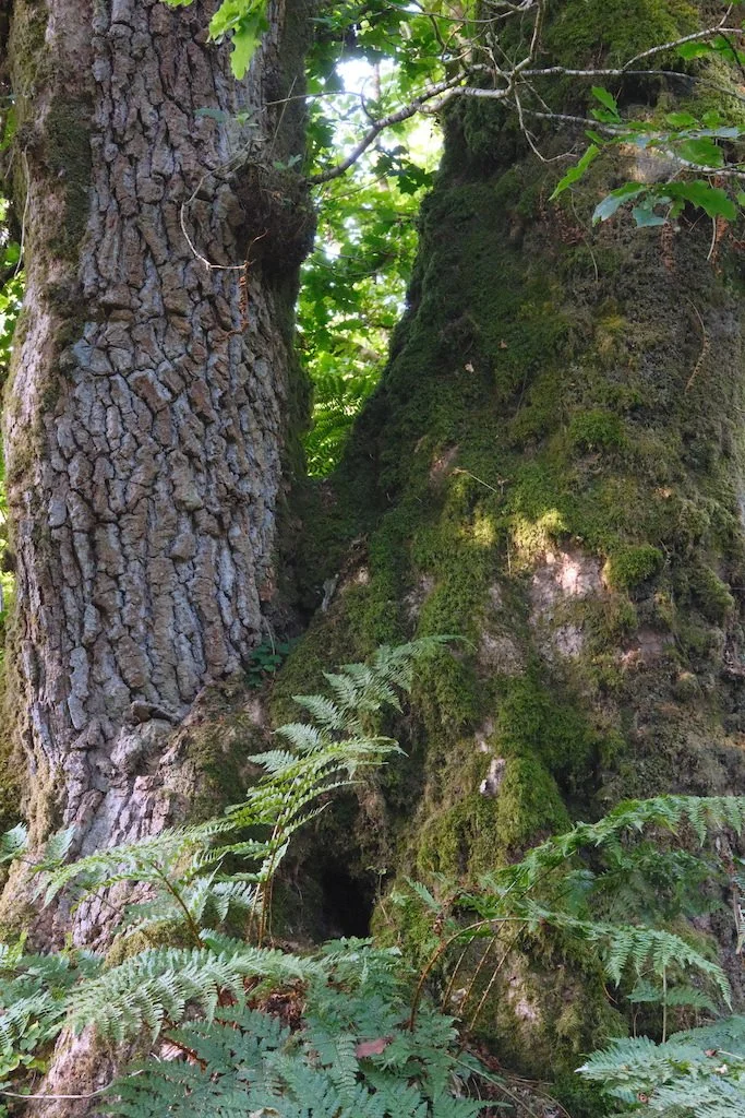 DSCF4088.JPG
