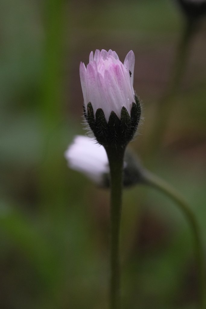 DSCF3421.JPG