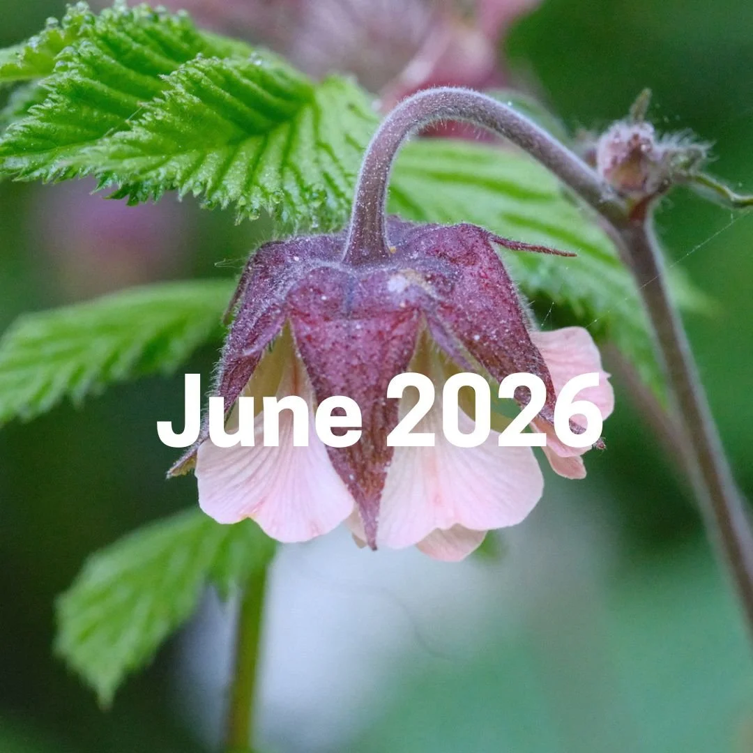 June