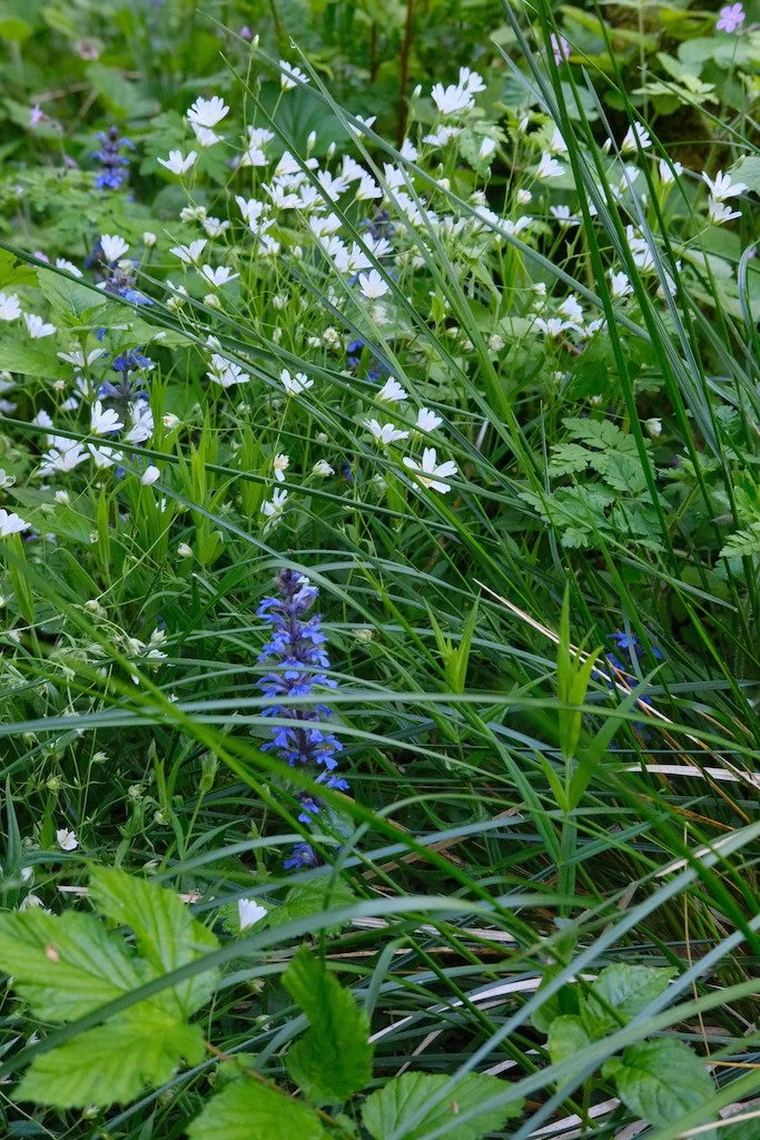 DSCF3563.JPG