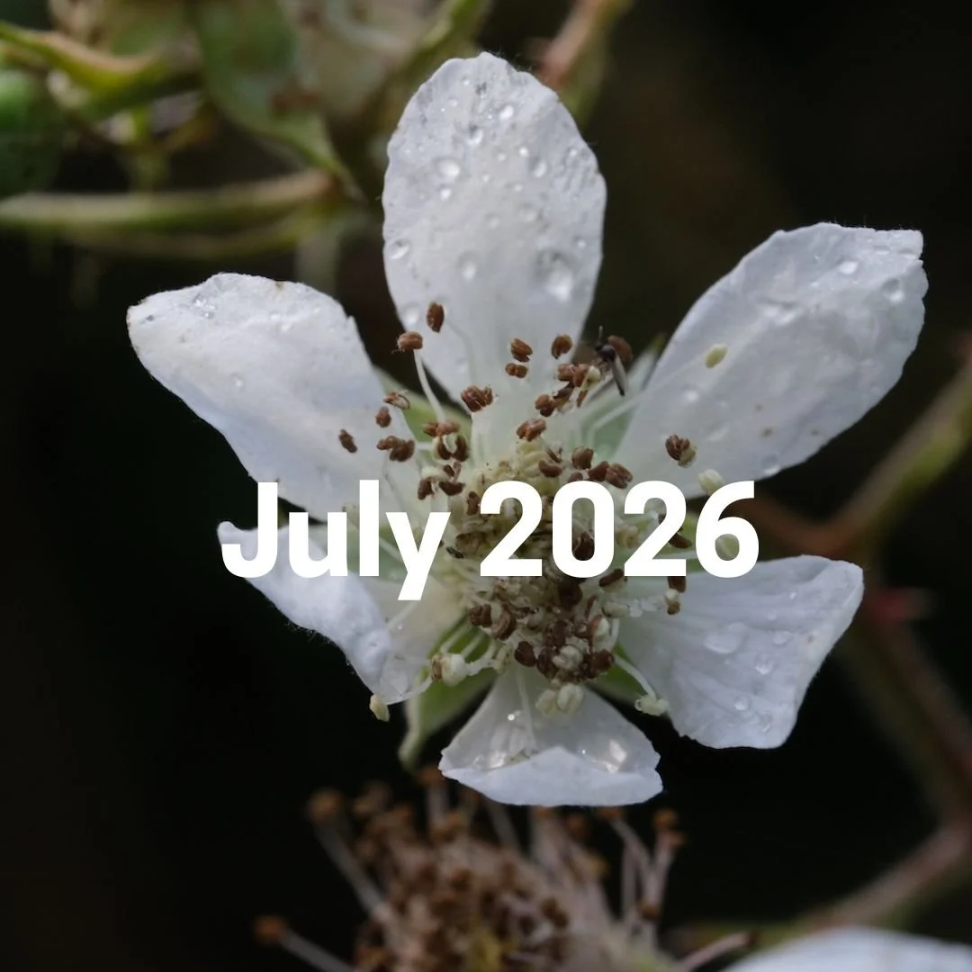 July