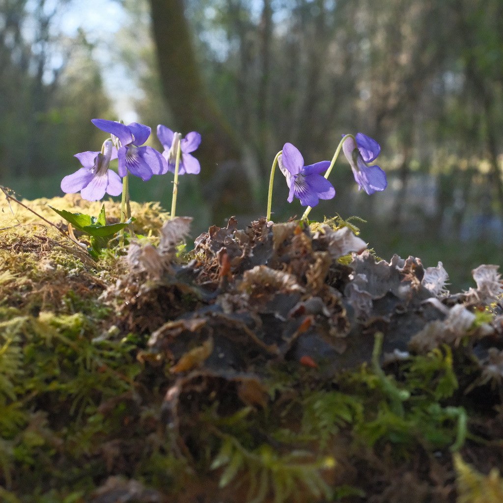 DSCF3171.JPG
