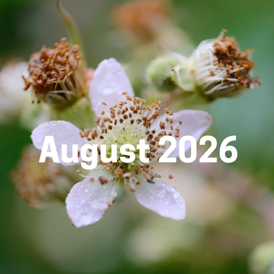 August