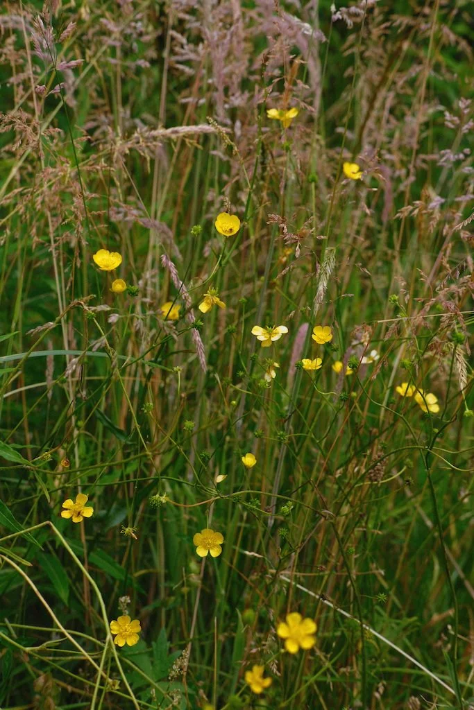 DSCF4072.JPG