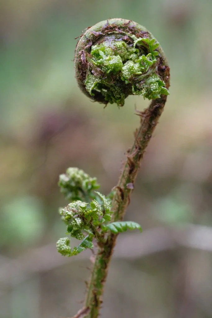 DSCF3238.JPG