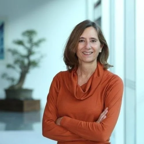 Frau mit braunen Haaren in einem roten Pullover steht in einem modernen Büro neben großen Fenstern, im Hintergrund ein Bonsai-Baum.
