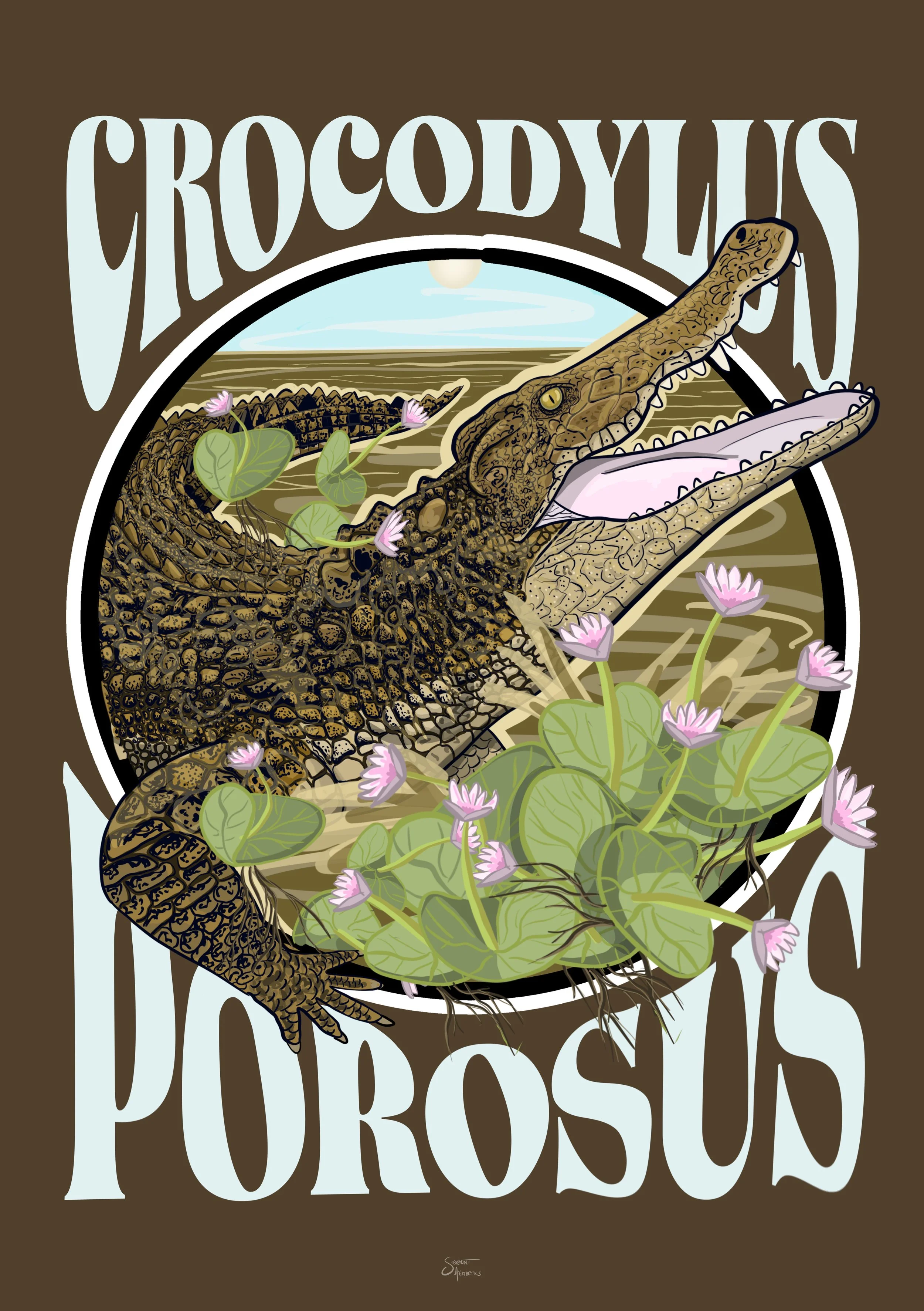 Saltwater Crocodile (Crocodylus porosus)