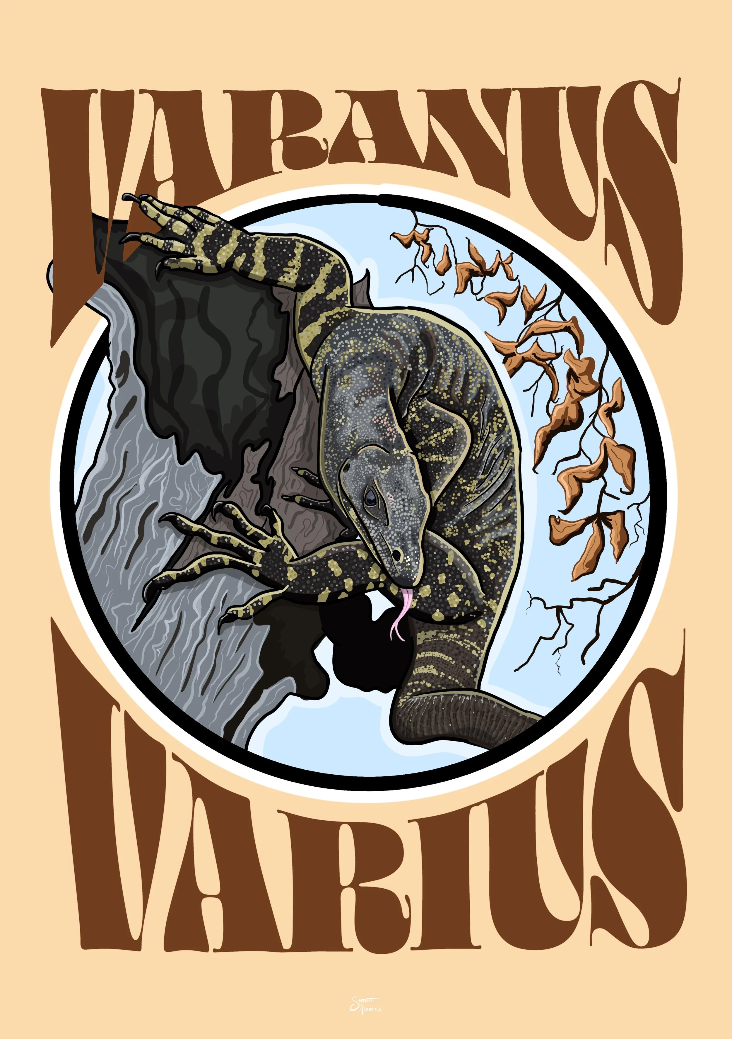 Lace Monitor (Varanus varius)