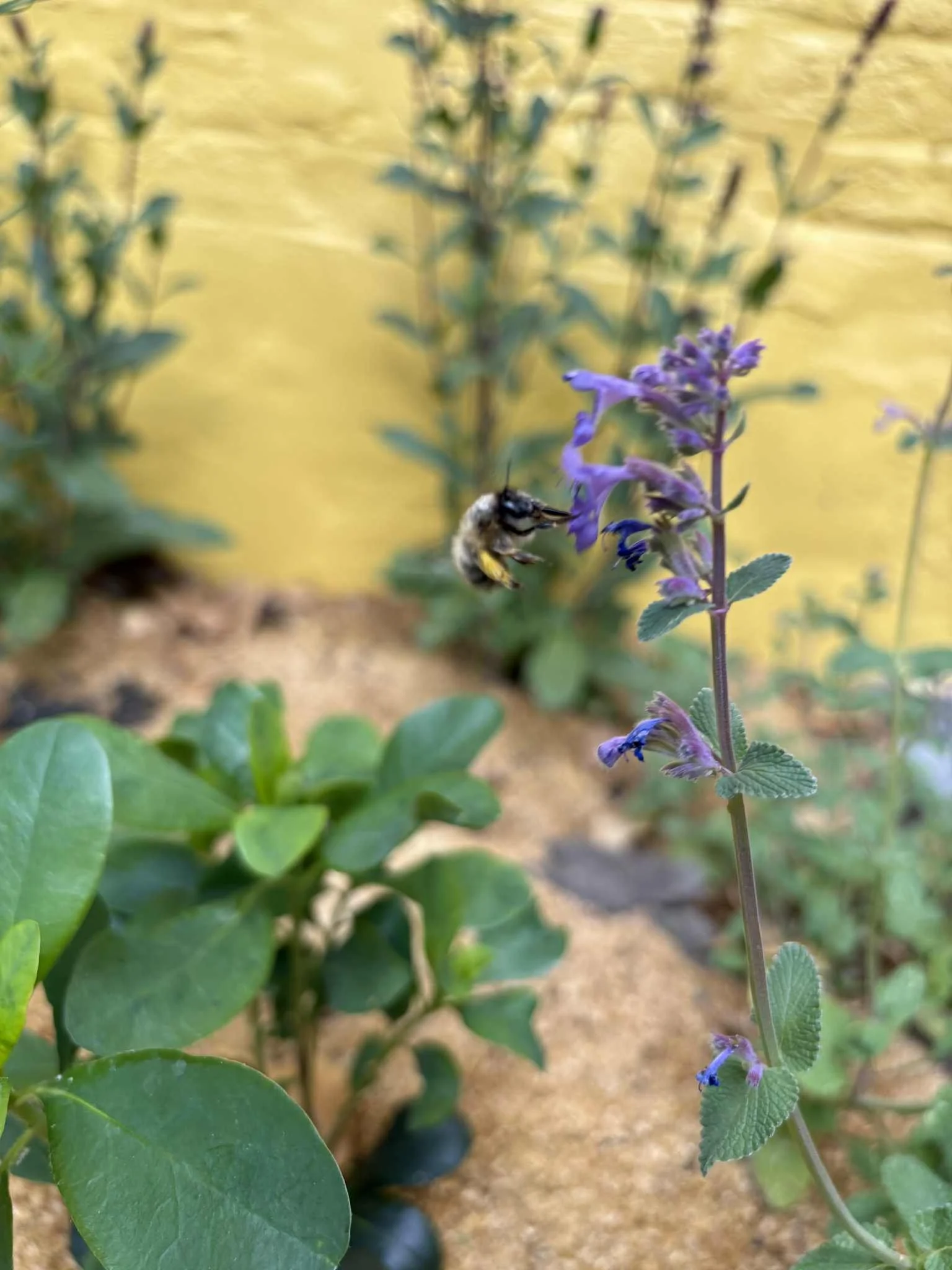 f9389386-7988-41be-8152-d4615bbdae6b (2).jpeg