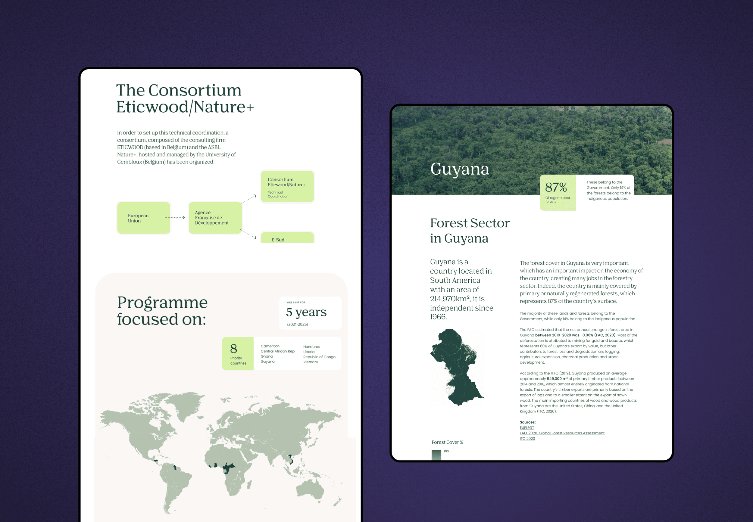 EU FLEGT VPA - Site web programme européen