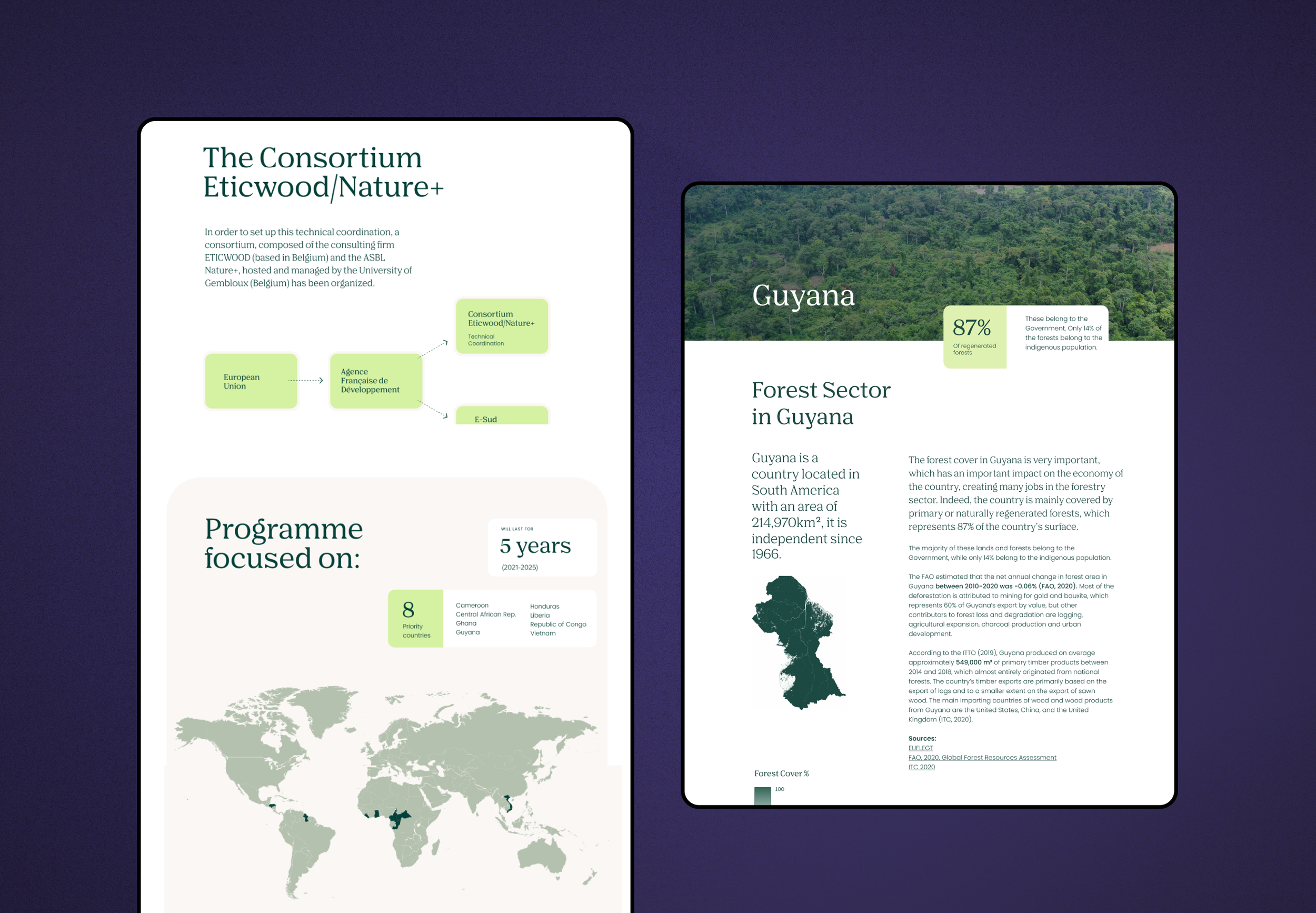 EU FLEGT VPA - Site web programme européen
