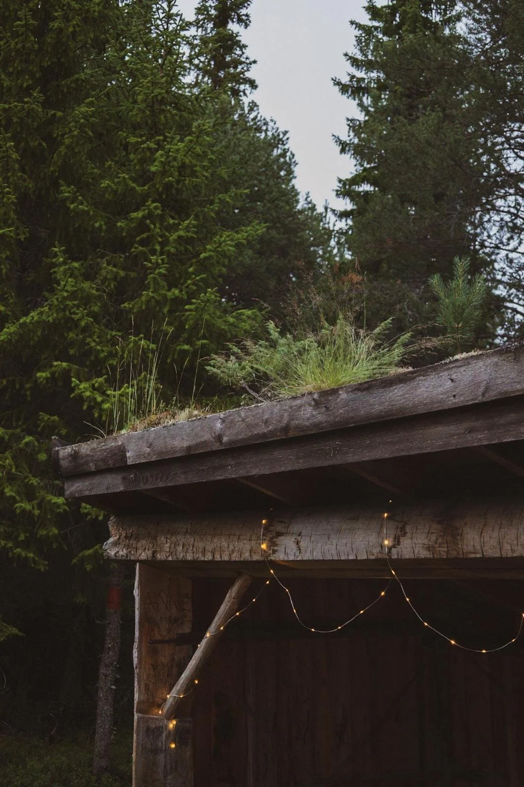 WhatsApp Image 2026-01-13 at 22.50.00.jpeg