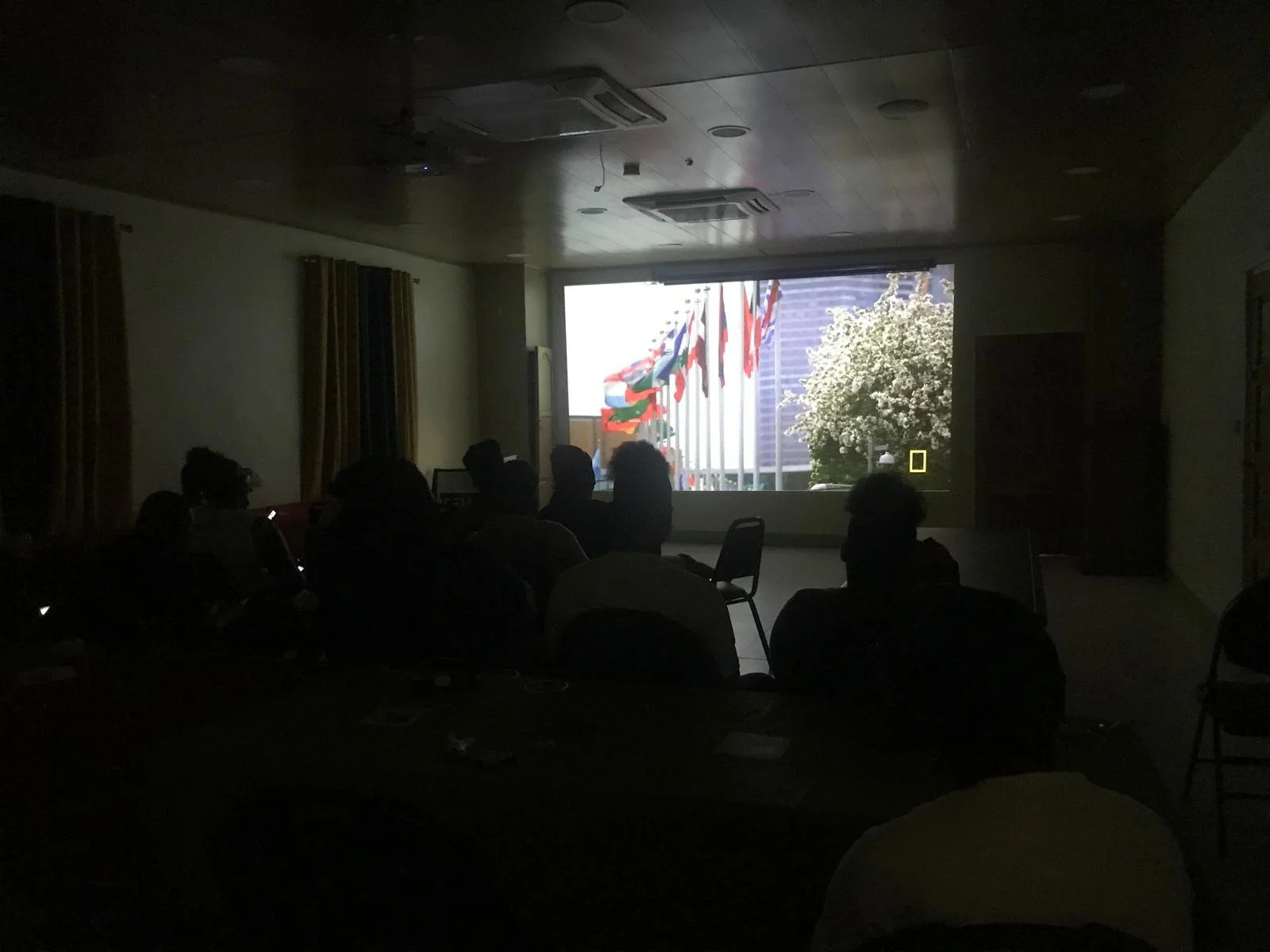 Earth Hour 2024 NDFD Movie Night.jpeg