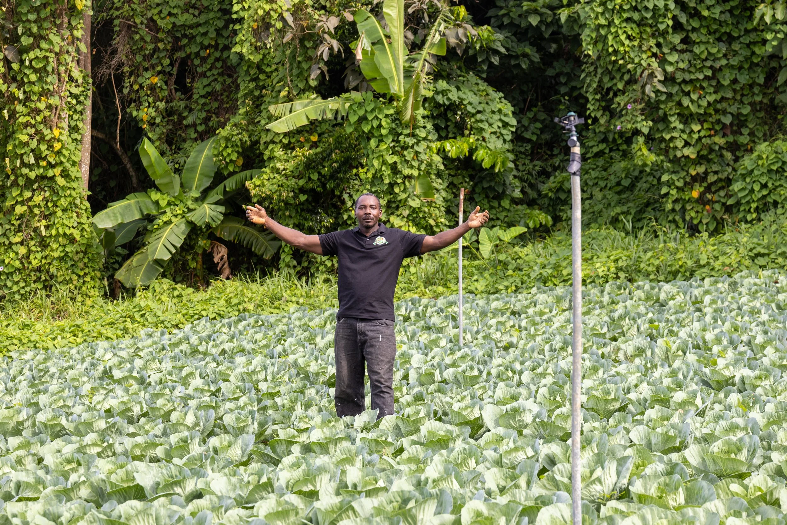 From Haiti to Dominica: Yves Joseph’s Journey Shows How Labour Migration Fuels the Blue and Green Economy