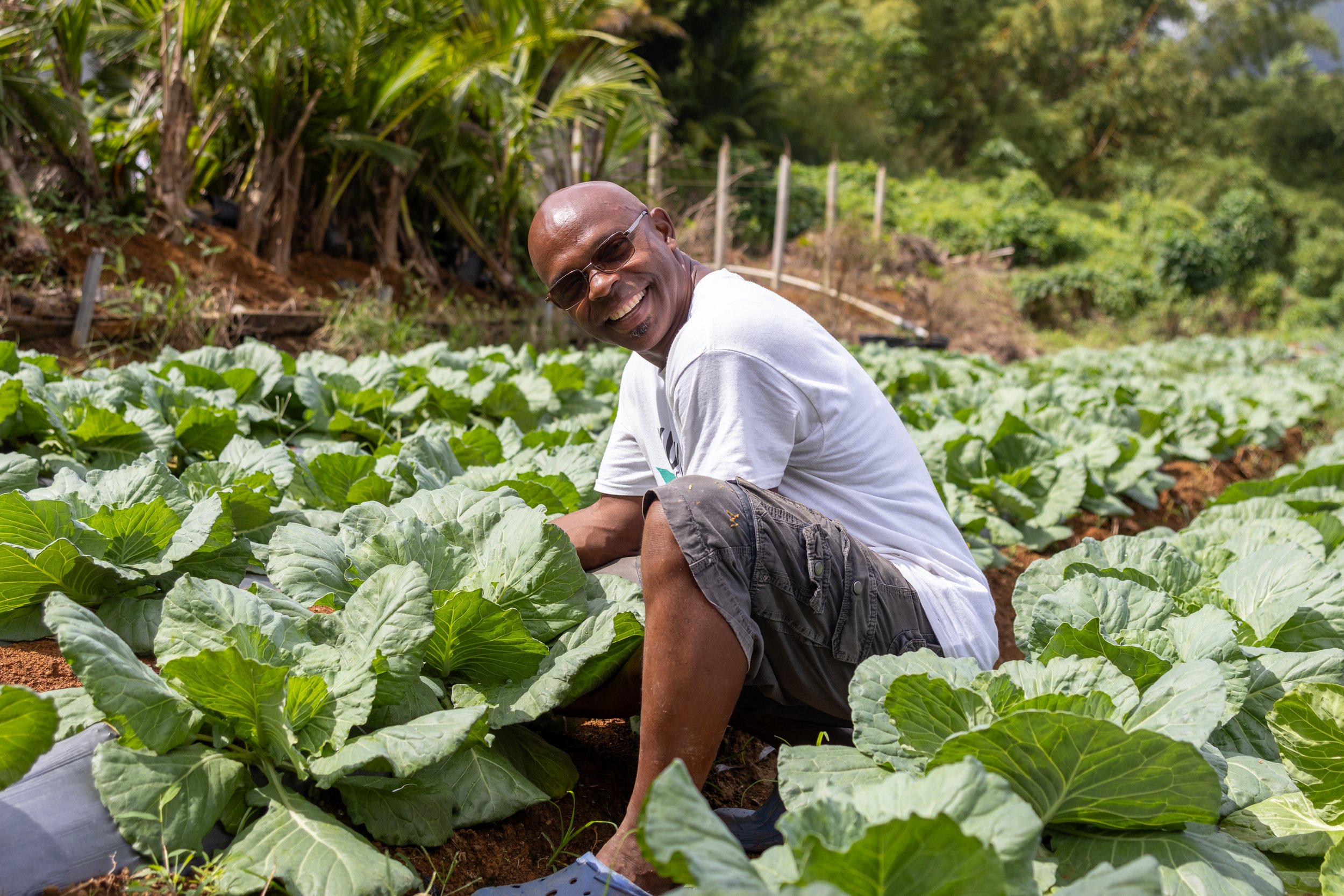 Kubuli Farms: Cultivating Innovation, Inclusion and Opportunity in Dominica