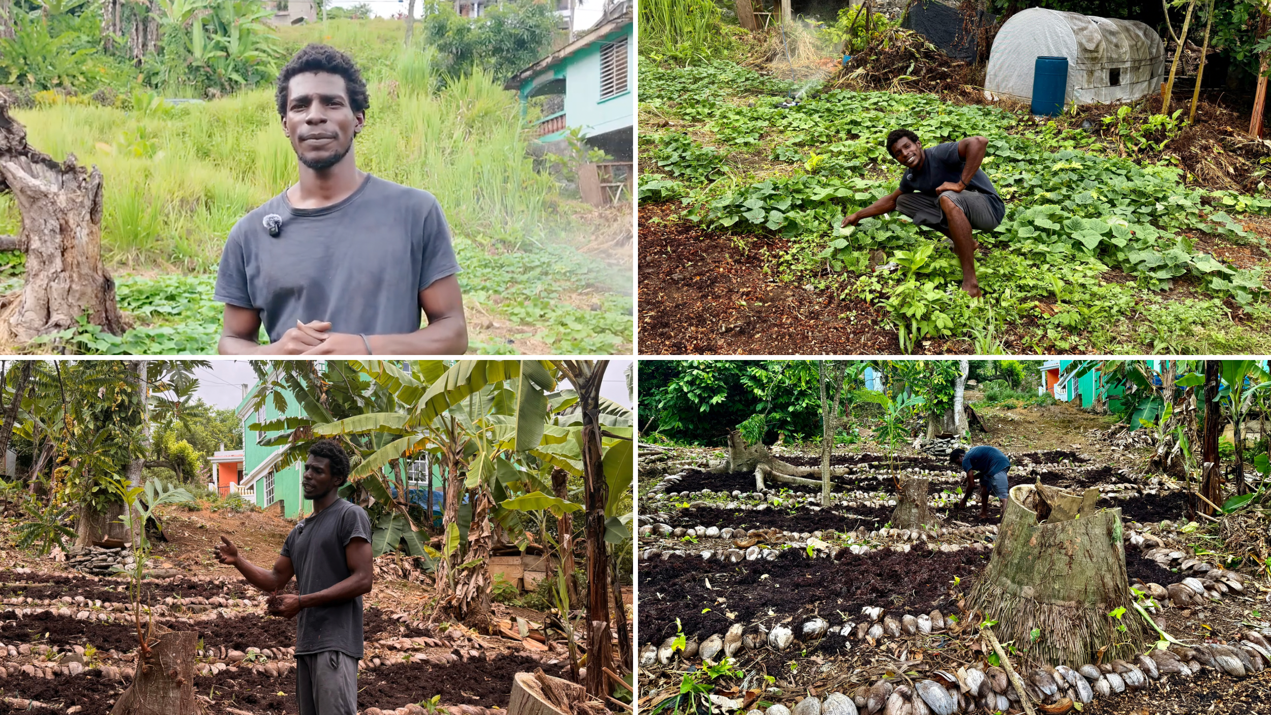 Beyond the Farm: Why Young Farmers Need Markets, Financing and Entrepreneurial Support to Grow