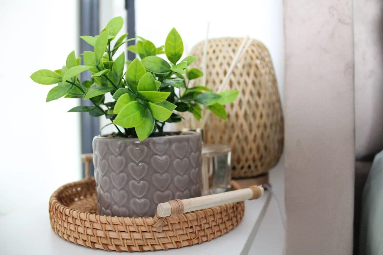 WhatsApp Image 2026-01-19 at 15.21.57.jpeg