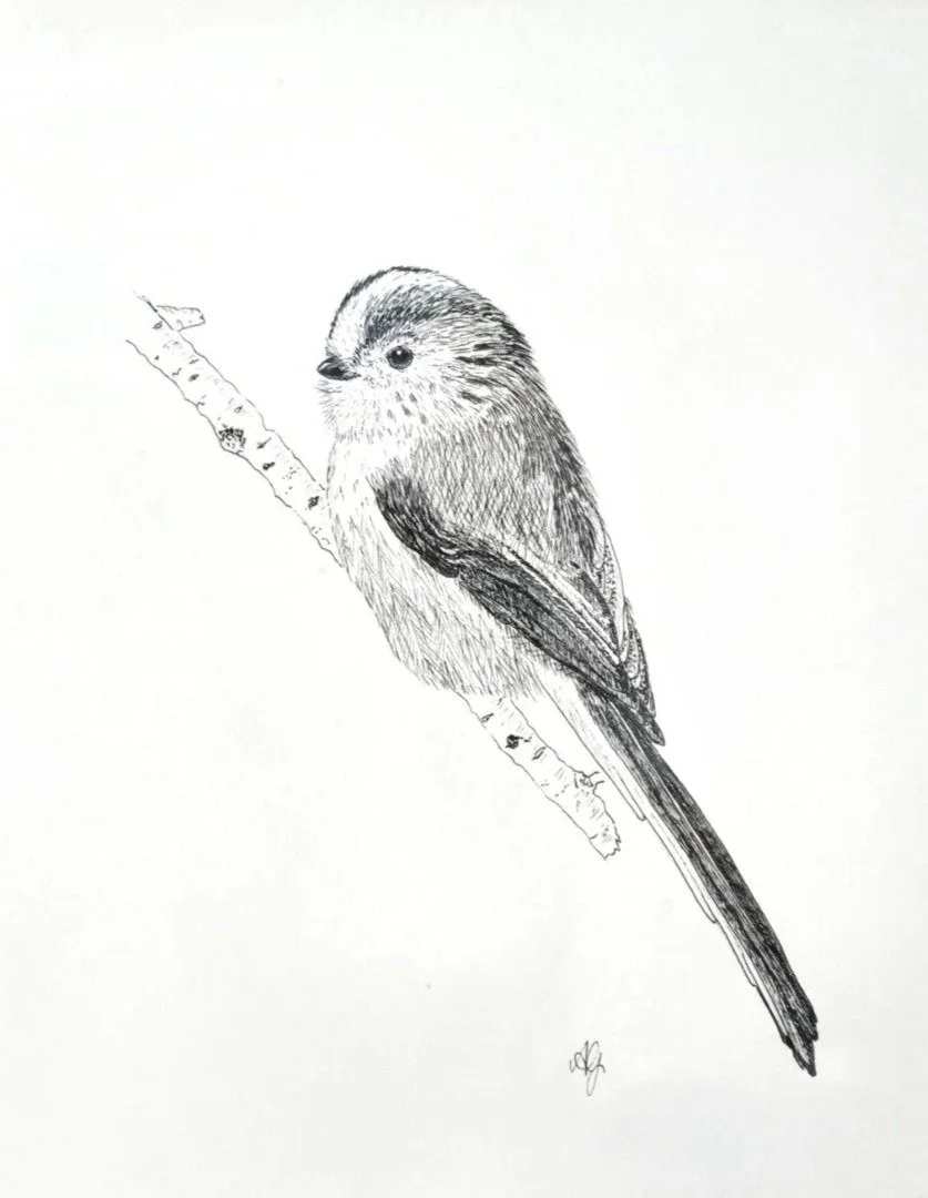 1/2