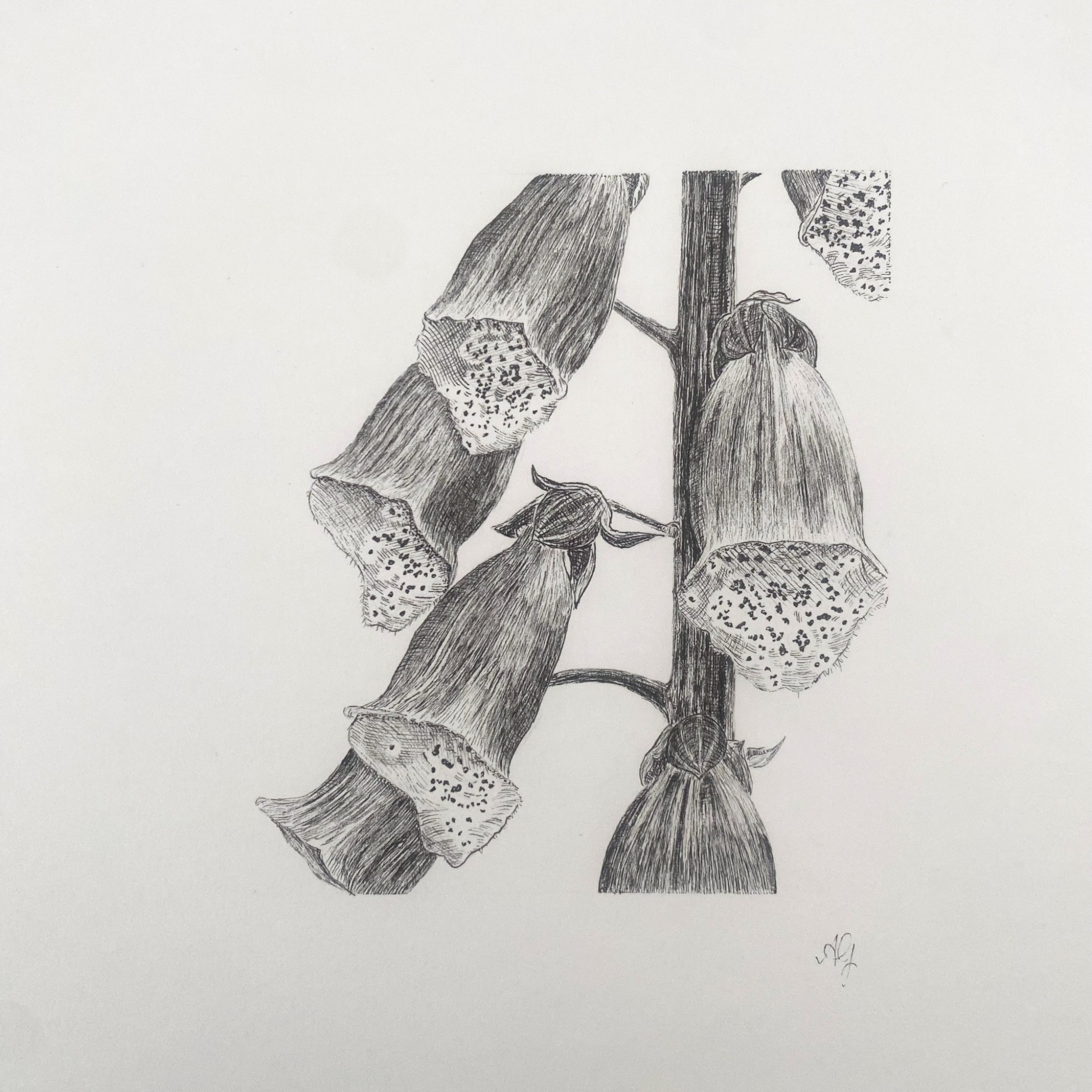 1/1