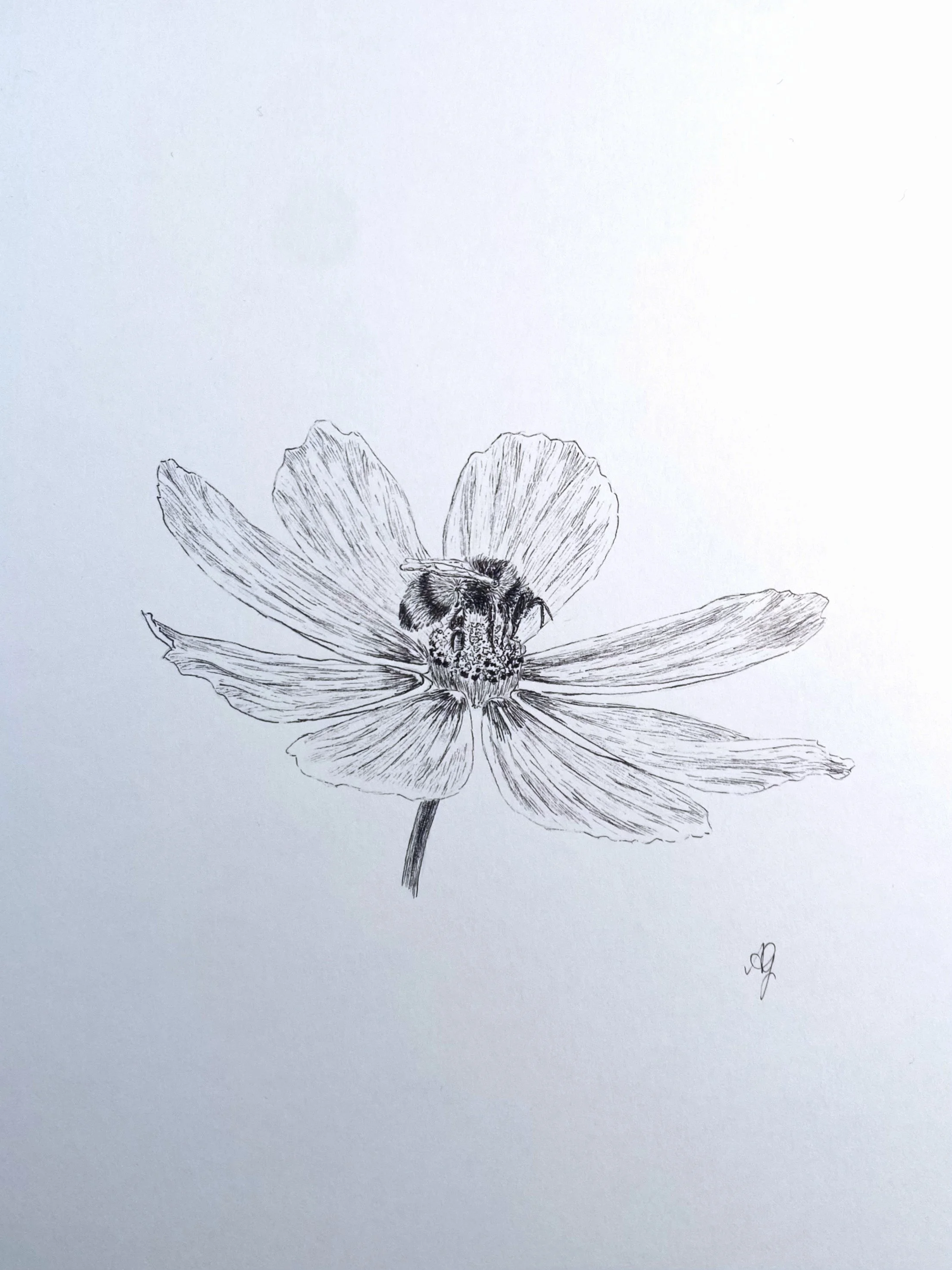 1/2
