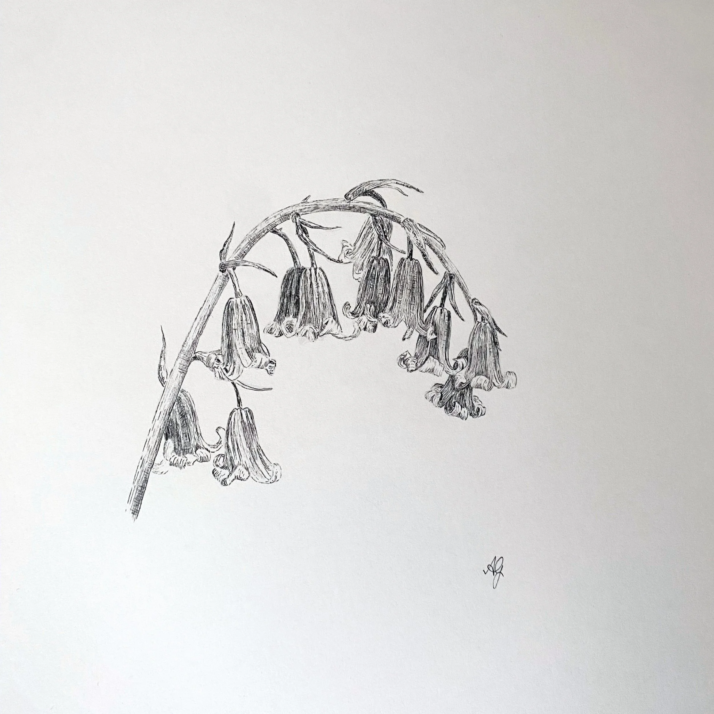1/2