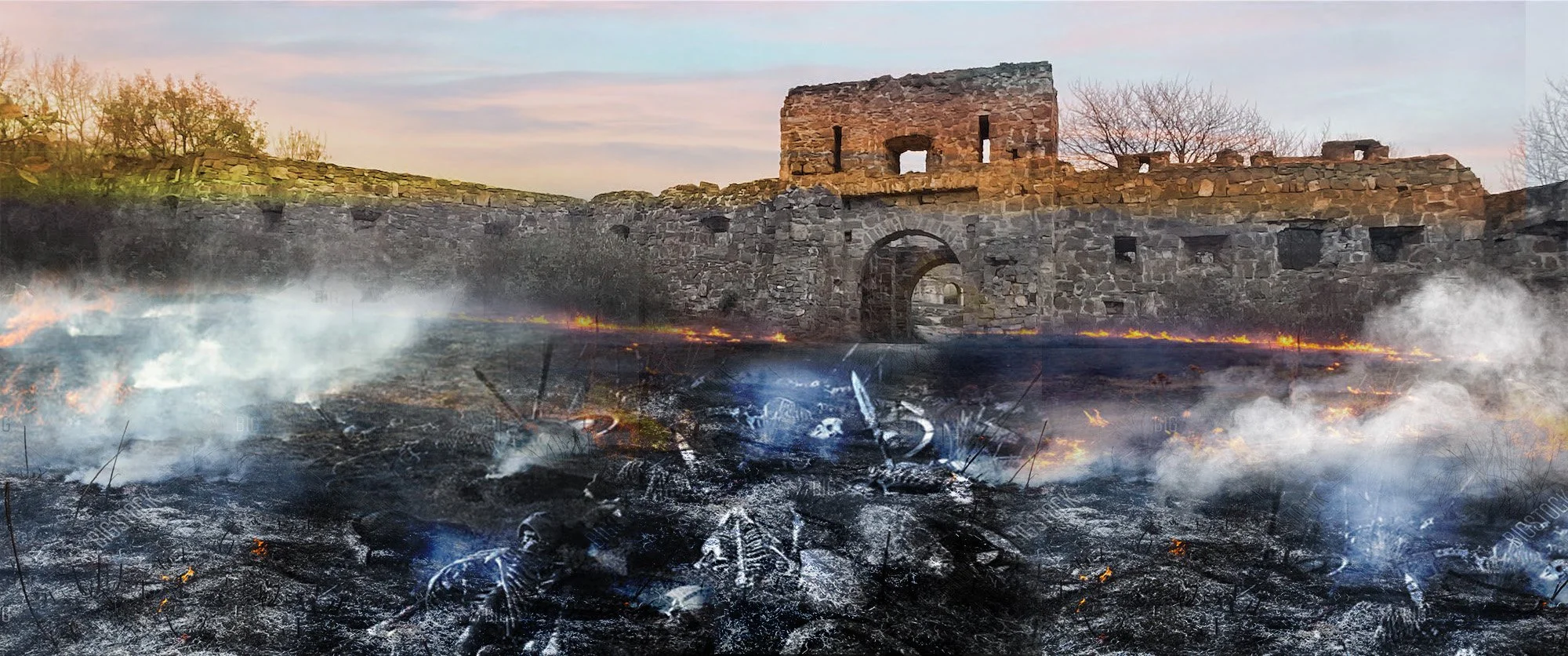 charred field.jpg
