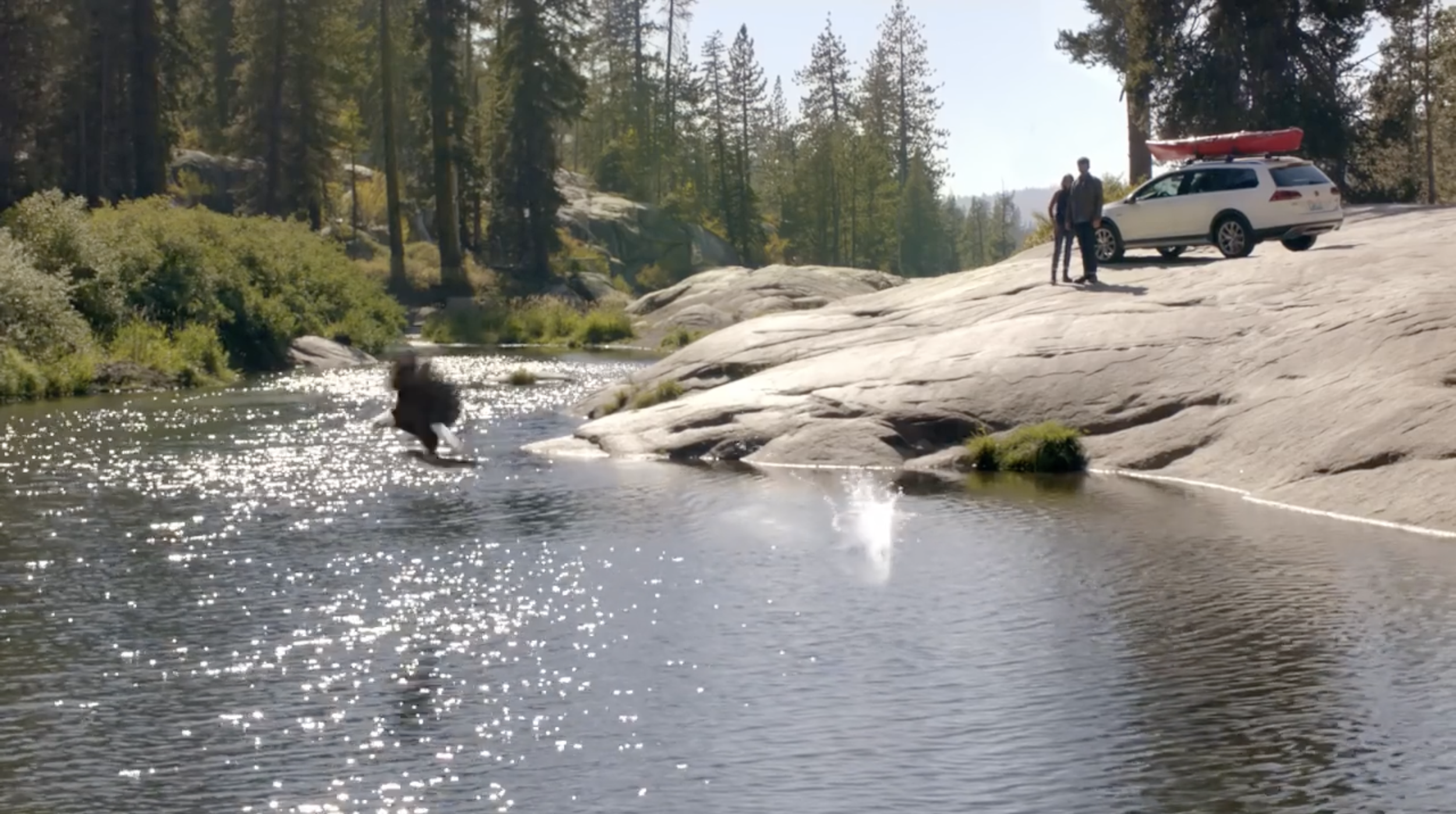 VOLKSWAGEN "Salmon" | GUARD BROTHERS