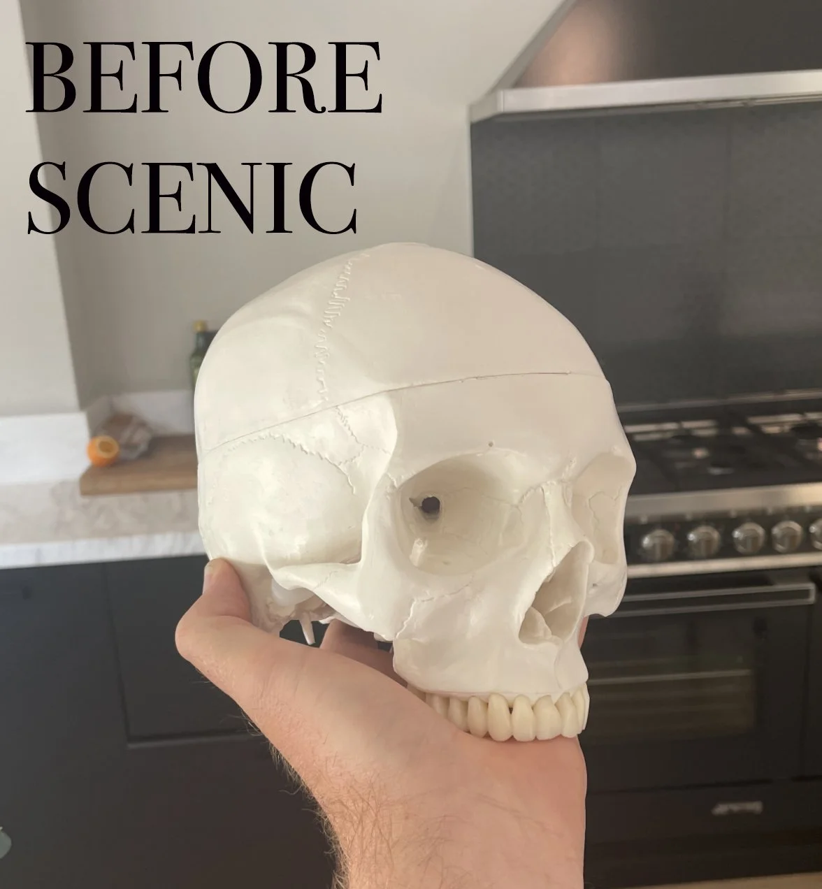 SKULL.jpg