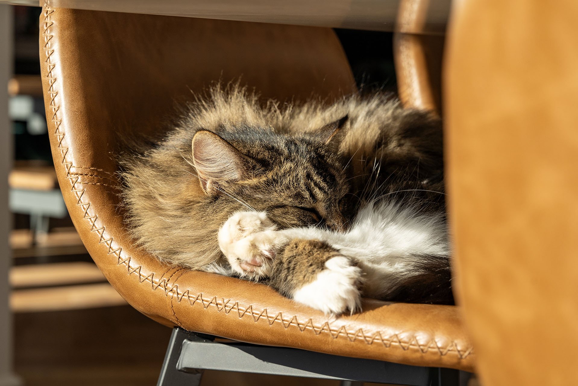 Grey Pink Shaker Kitchen Stadhampton