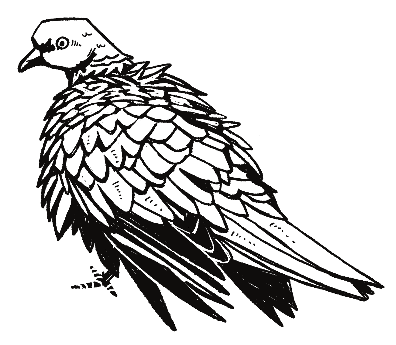 IMG_9368.png
