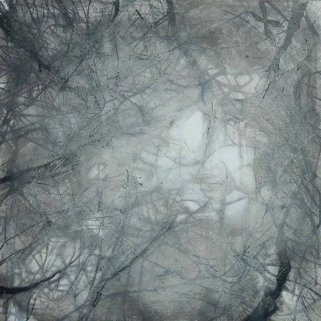 A monochromatic photo of tree branches and leaves viewed through mist or fog.